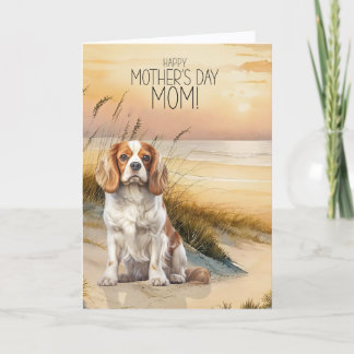 Cartão De Festividades Cavalier King Charles Sunset Beach Mother's Day