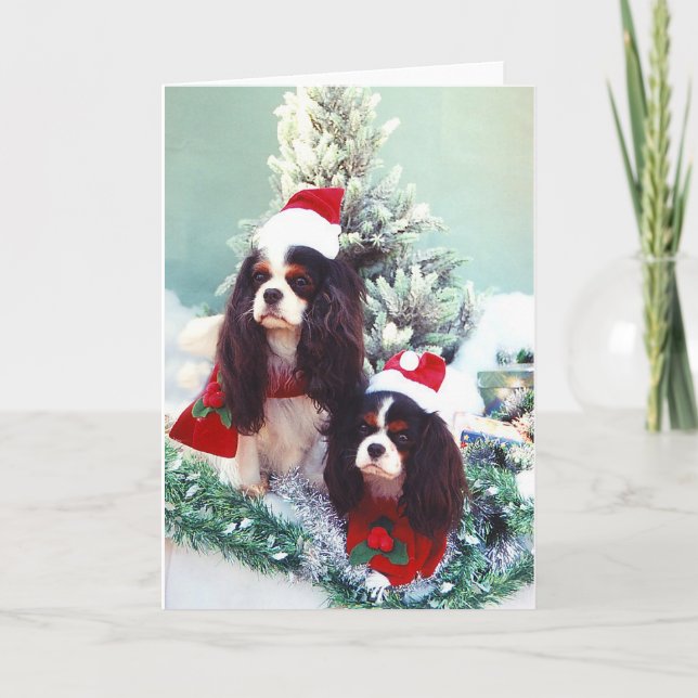 Cartão De Festividades Cavaliers at Christmas (Frente)