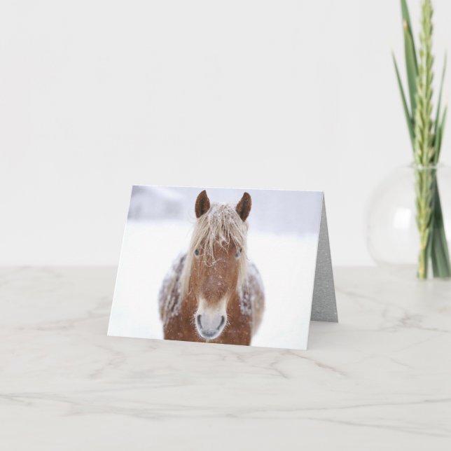 Cartão De Festividades Cavalo Marrom em Campo de Neve Próximo. (Frente)