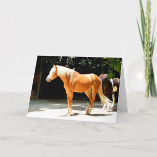 Cartão De Festividades Cavalo palomino animal