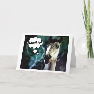 CARTÃO DE FESTIVIDADES CAVALO SURPREENDIDO=VOCÊ FOI MALCRIADO ANTES DO NA