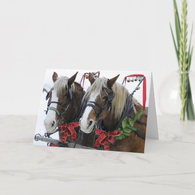 Cartão De Festividades Cavalos de Natal (Frente)