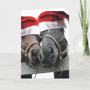 Cartão De Festividades Cavalos De Natal Com Chapéus De Pai Natal