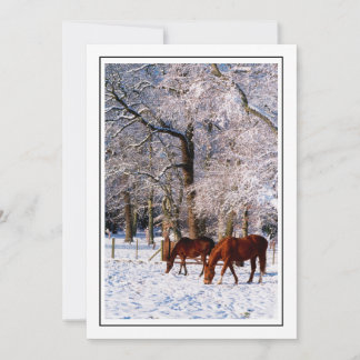 Cartão De Festividades Cavalos Puro-Sangue na Neve