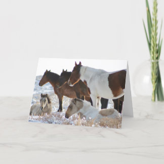 CARTÃO DE FESTIVIDADES CAVALOS SELVAGENS PERSONALIZADOS DE PINTOS DE UTAH