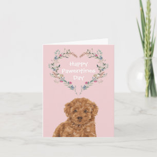 Cartão De Festividades Cavoodle Cavapoo Mix Poodle Cães Dias de os namor