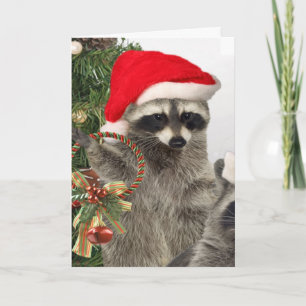 Cartão De Festividades Celebração de Natal Raccoon