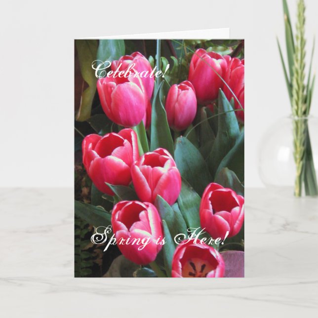 Cartão De Festividades Celebrate!, Spring is Here! (Frente)