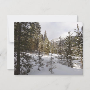 Cartão De Festividades Cena da Montanha Snowy de inverno em Montana