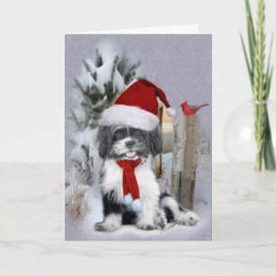 Cartão De Festividades Cena de inverno de Shih Tzu