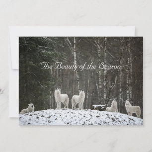 Cartão De Festividades Cena de neve bonita Natureza Lobos Personalizar No