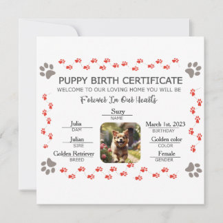 Cartão De Festividades Certificado de Nascimento de Cachorro Personalizad