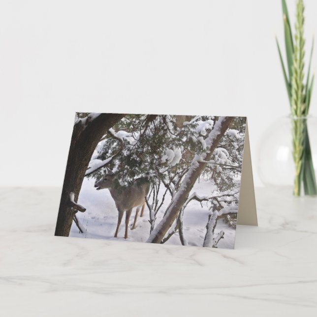 Cartão De Festividades Cervo no Fotografia de Madeira Saudação ou Nota (Frente)