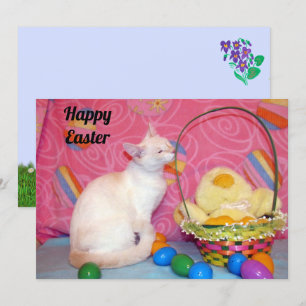 Cartão De Festividades Cesta de Páscoa da Tiffany = Cat - Placa plana