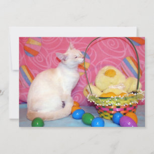 Cartão De Festividades Cesta de Páscoa da Tiffanys - Gato/ Gatito - Cart
