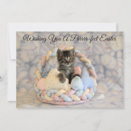 Cartão De Festividades Cesta de Páscoa de Patton - Gato/ Gatinho  - Cartã