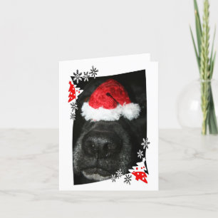 Cartão De Festividades Chapéu de Natal de cão no nariz, mistura de labora