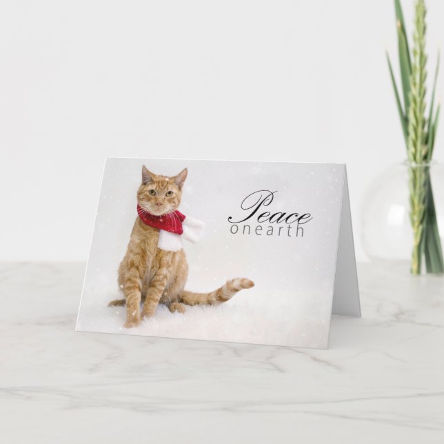 Cartão De Festividades Charity Holiday Cards (Frente)