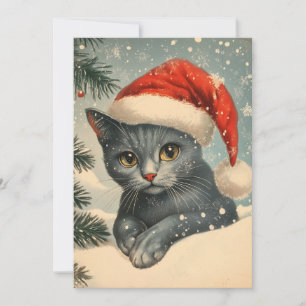 Cartão De Festividades Chartreux Cat Natal