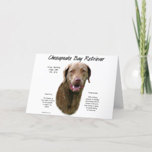 Cartão De Festividades Chesapeake Bay Retriever History Design