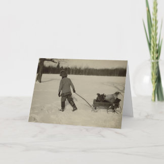 Cartão De Festividades Chickens In Snow Holiday Card