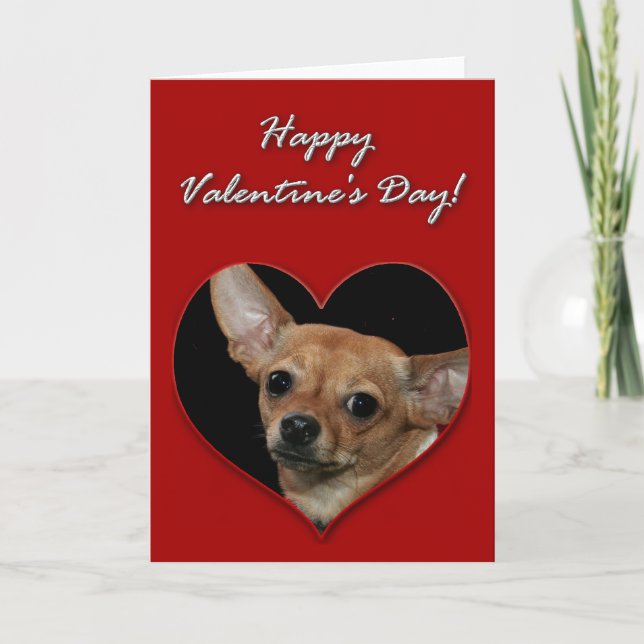 Cartão De Festividades Chihuahua Valentines Day Card (Frente)