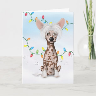 Cartão De Festividades Chinese Crested 1 Christmas CR1