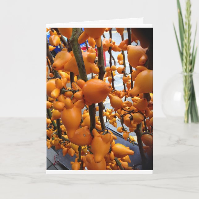 Cartão De Festividades Chinese New Year greeting card. Kung Hei Fat Choi! (Frente)