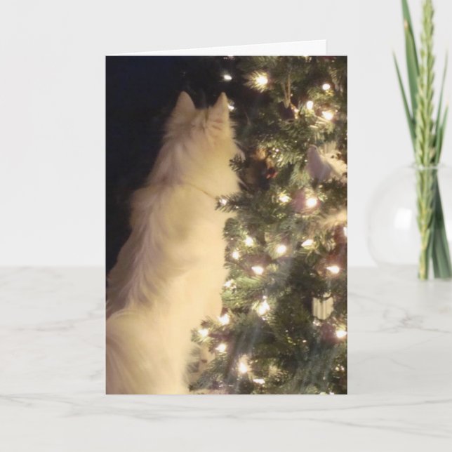 Cartão De Festividades Chiristmas Card (Frente)