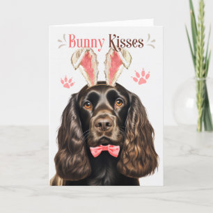 Cartão De Festividades Chocolate Cocker Spaniel em Bunny Ears para Páscoa
