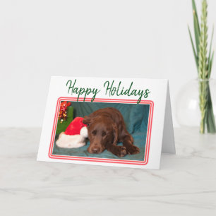 Cartão De Festividades Chocolate de Natal Labrador e Chapéu de Papai Noe