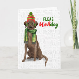 Cartão De Festividades Chocolate Laboratório Funny Fleas Navidog Natal