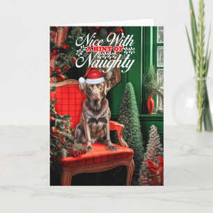 Cartão De Festividades Chocolate Labrador Cachorro de Natal travesso ou l