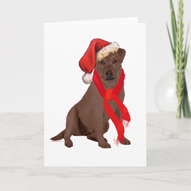 Cartão De Festividades Chocolate Labrador Varejista Natal (Frente)