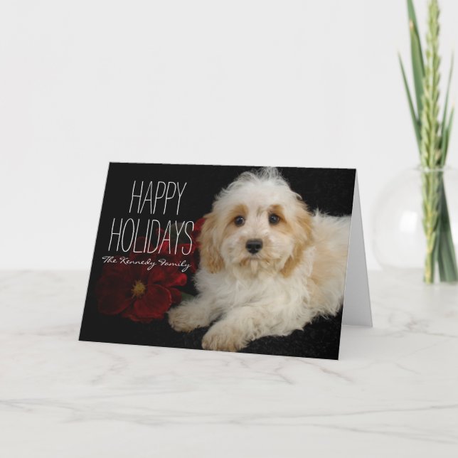 Cartão De Festividades Chrirstmas Cavachon puppy (Frente)