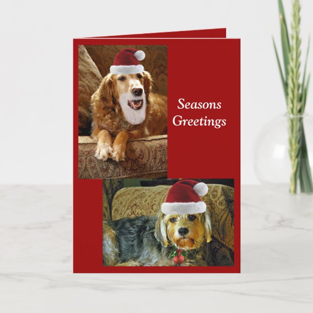 Cartão De Festividades chris card (Frente)