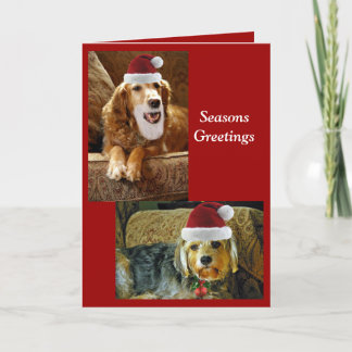 Cartão De Festividades chris card