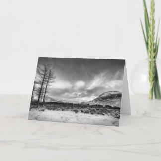 Cartão De Festividades Chrismas Card