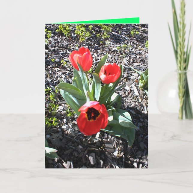 Cartão De Festividades Christian Christmas card for bereaved person. (Frente)