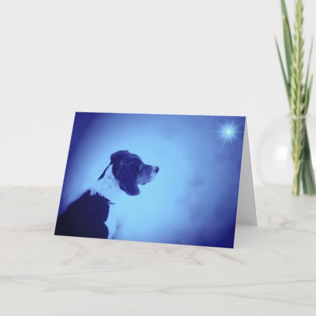 Cartão De Festividades Christmas 2005 (Frente)