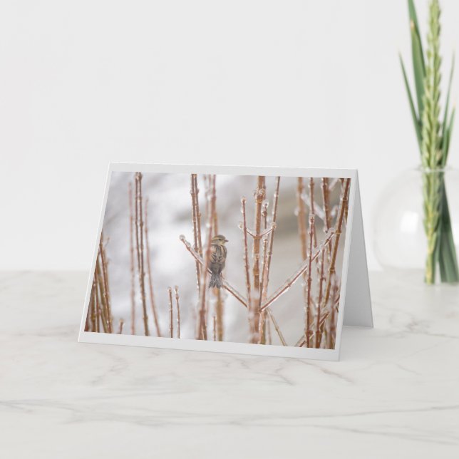Cartão De Festividades Christmas Animal Bird Sparrow on an Iced Branch (Frente)