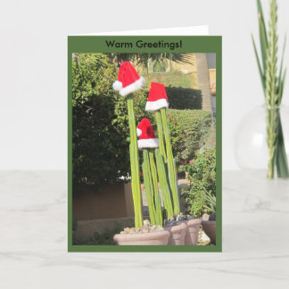 Cartão De Festividades Christmas Arizona Style!