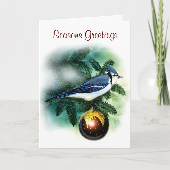 Cartão De Festividades Christmas Bird Pretty Blue Jay Greeting Card (Frente)