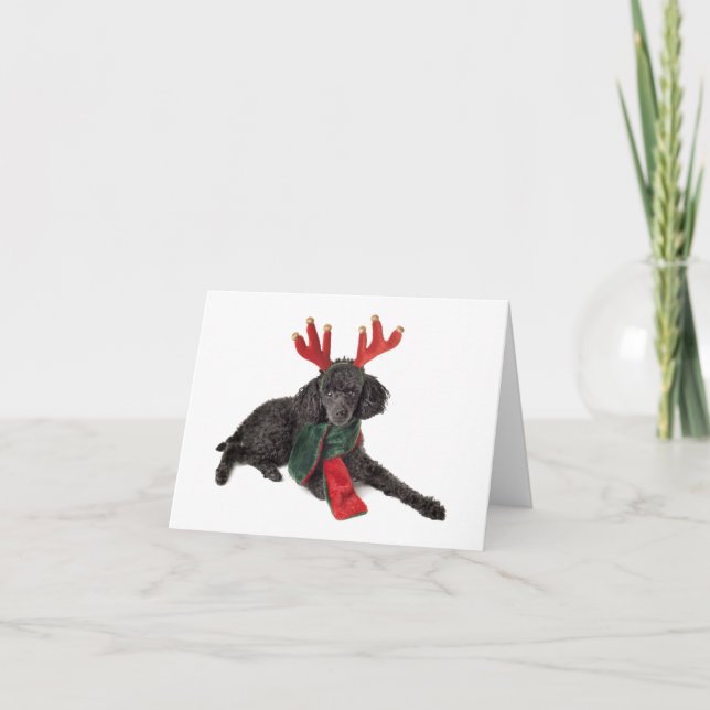 Cartão De Festividades Christmas Black Toy Poodle Dog Dressed as Reindeer (Frente)