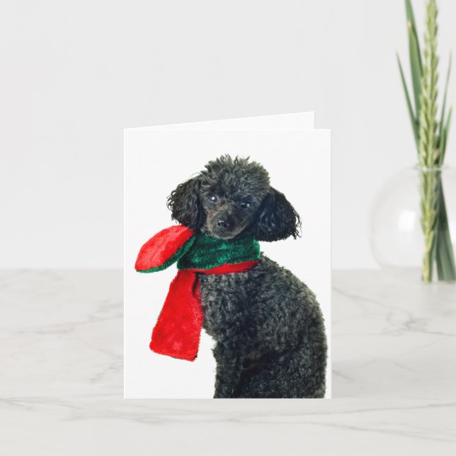 Cartão De Festividades Christmas Black Toy Poodle Dog Reindeer Red Scarf (Frente)