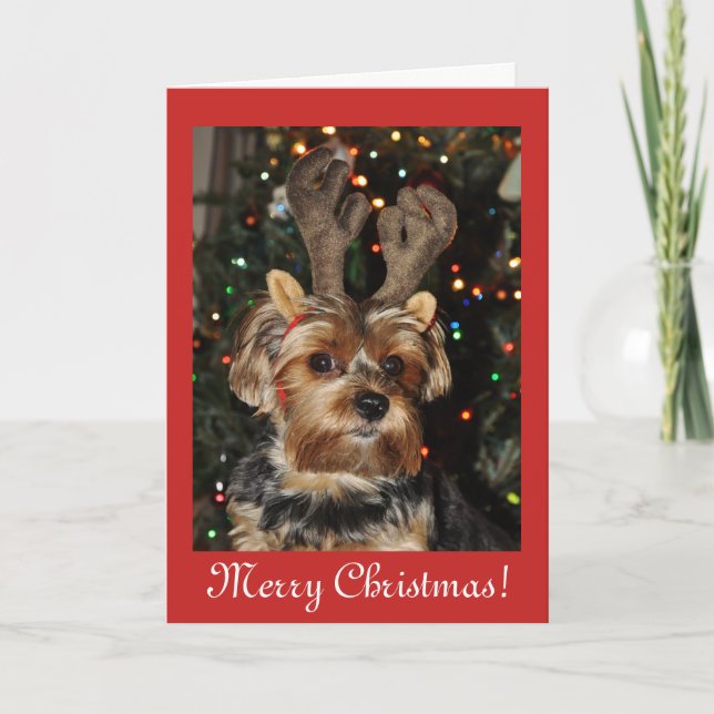 Cartão De Festividades Christmas blessings,Yorkshire terrier dog puppy (Frente)