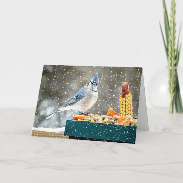 Cartão De Festividades Christmas Blue Jay Christmas Card (Frente)