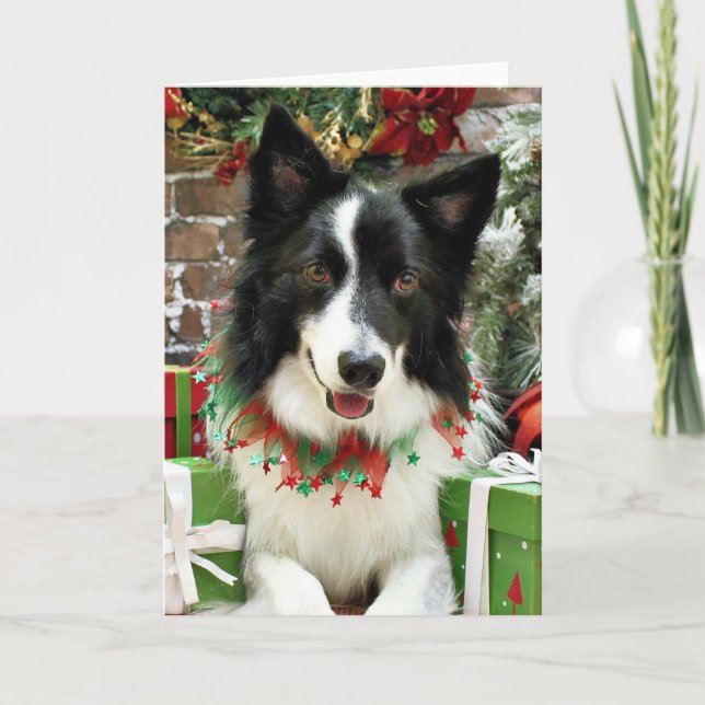 Cartão De Festividades Christmas - Border Collie - Jessup (Frente)