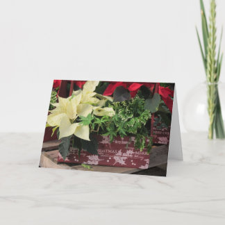 Cartão De Festividades Christmas Box