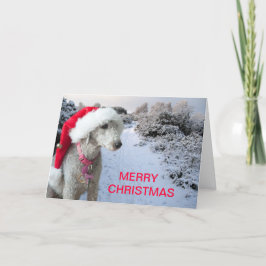 Cartão De Festividades Christmas card